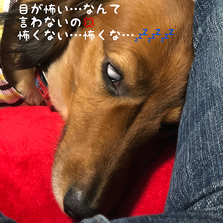 怖い顔のまま寝てるじゃん😅💦💦💦(笑)