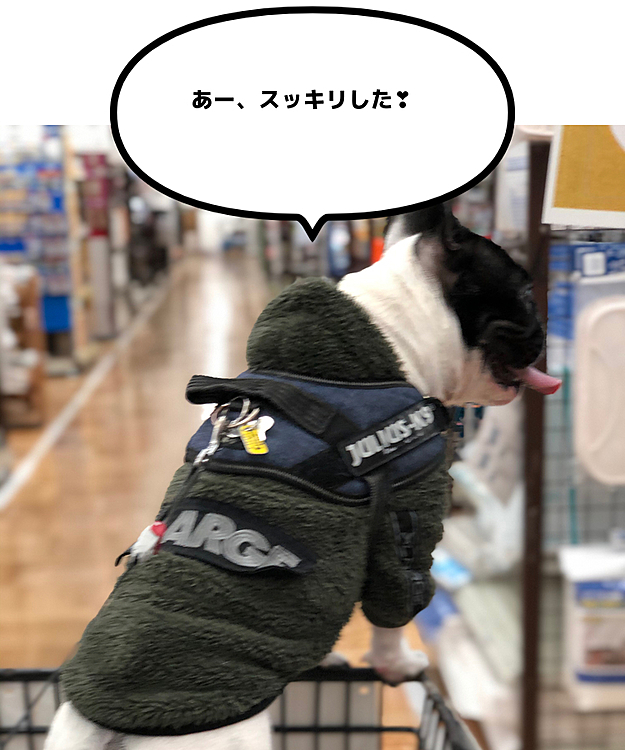まろの💩が目的で行ったのですが、箱入りではないもののマスクが買えました❣️😁