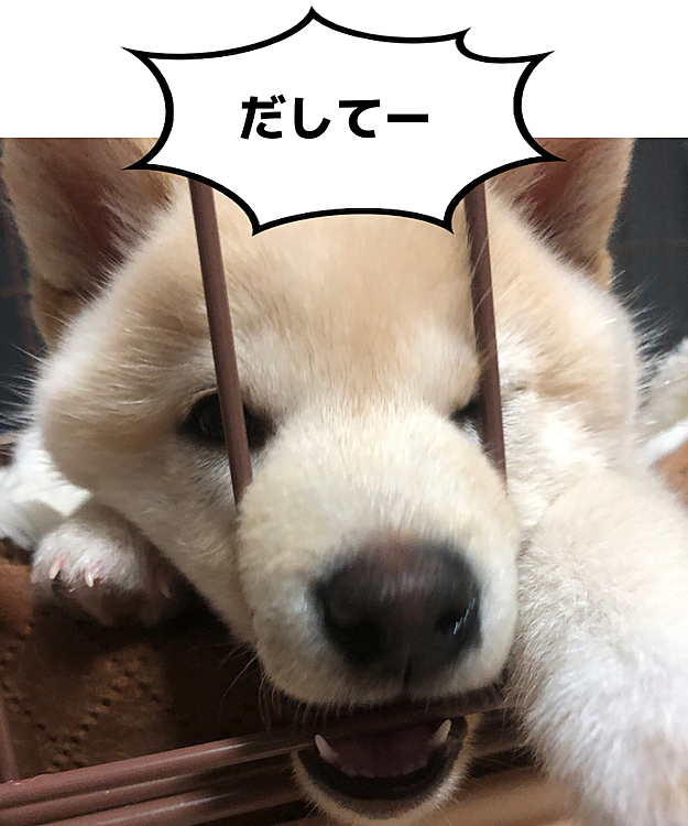 挟まっちゃてるよーΣ（ﾟдﾟlll）
もうちょとまってよー