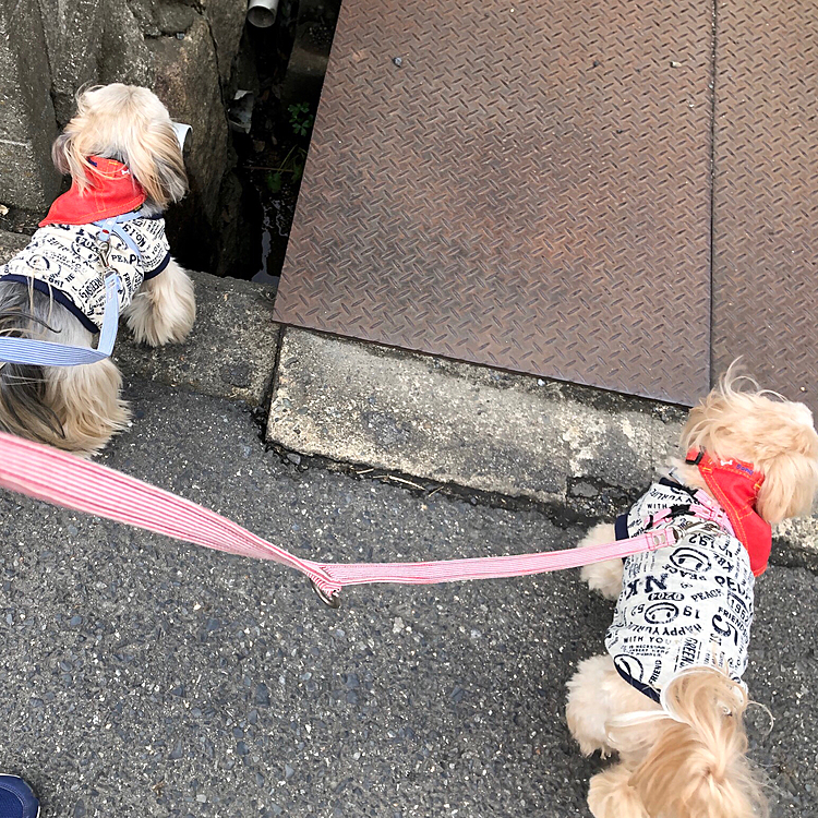ここも気になる🤔