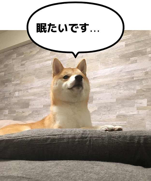 スフィンクスみたい
かなり渋い顏…❣️笑笑