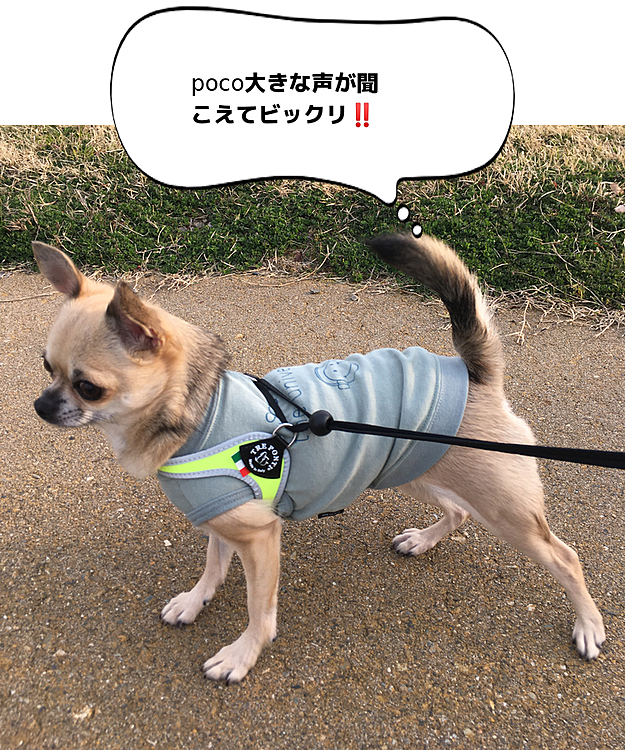 今日は、スパ&温浴施設でのお手伝いに行ったら4月20日から5月6日まで休館するとの事でした😭
早く落ち着いて、皆様の笑顔が戻ってくる日を願っています😢
