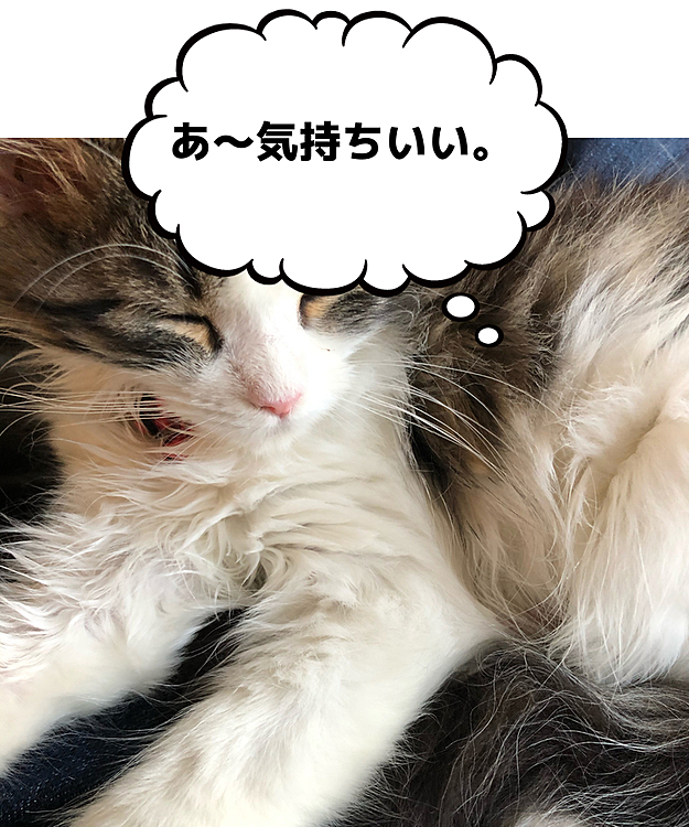 Chocoの投稿