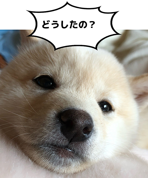 何その顔！！！！(*'▽'*)