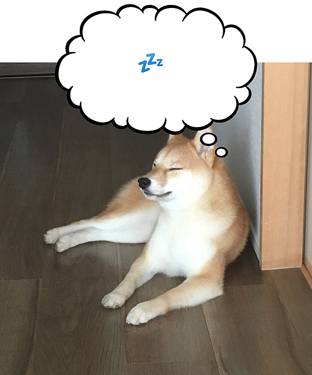 お昼頃…キッチンの前で眠たいのにゴロンとしないせつ