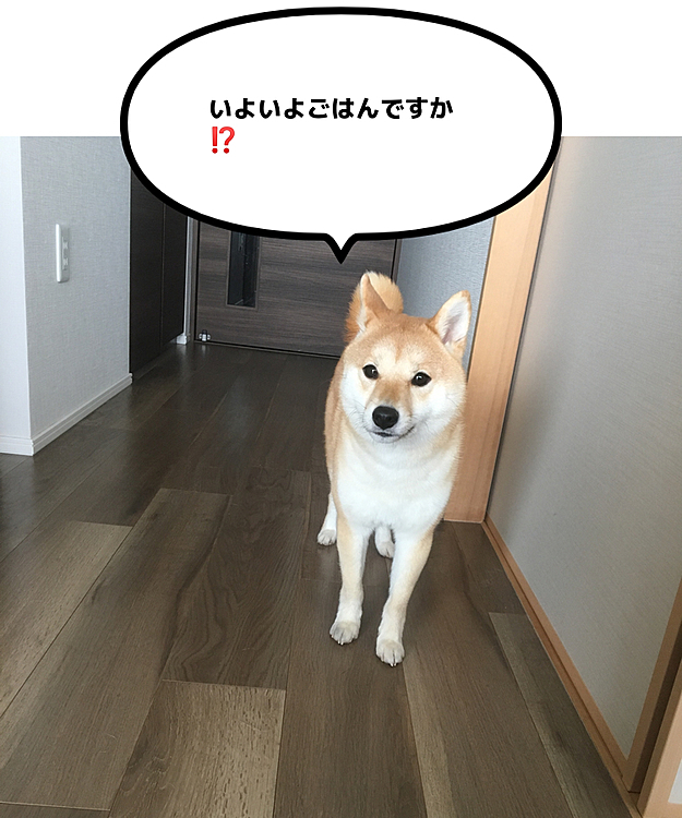 シャキーン‼️