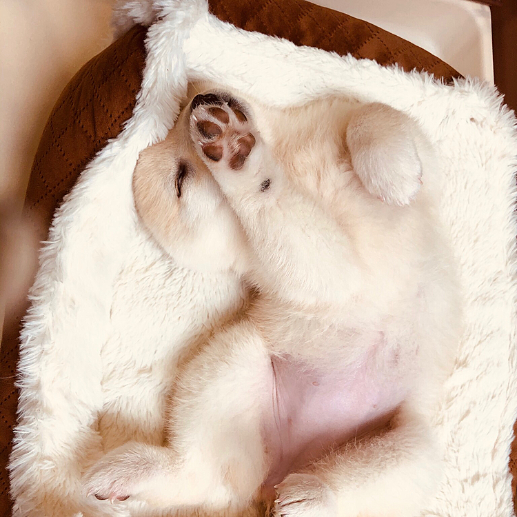 体痛めそう(￣▽￣)