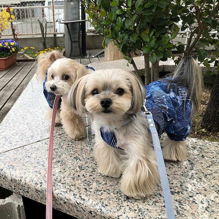 駅前のパン屋さんのテラスで休憩。
パンの端っこを少しだけおすそ分け🥯