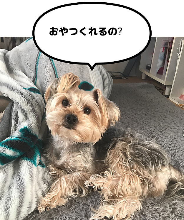 kuutan🍠の投稿