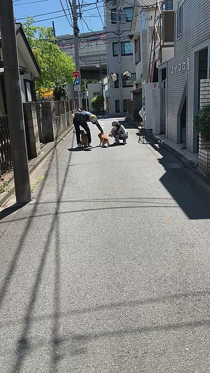 コロナ騒ぎでトレーニングもできなくなり、先生も騒動が収まるまで仕事はお休みだそうです💦ますます酒量が増えてるみたいです🍻😅
また楽しくトレーニングできる日がきますように✨✨