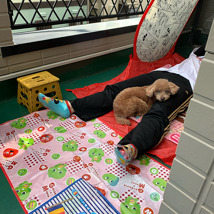お昼寝タイム੯ूᵕू ໒꒱ƶƵ 