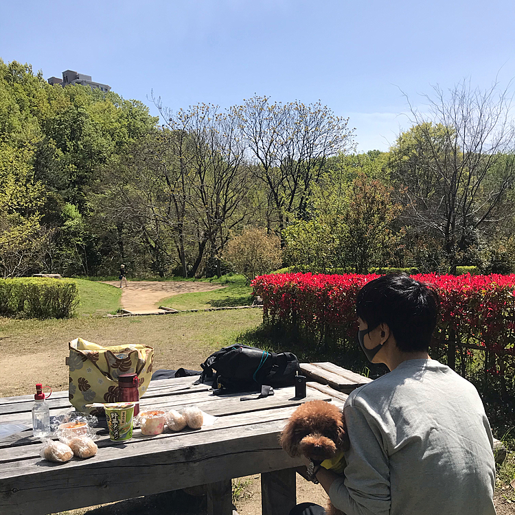 今日は朝からとても良い天気☀️
ですが、家からすぐの里山にピクニック⛺️

入り口すぐにあるベンチが空いていたのでまずはランチタイム🍽
いつもながら混ぜご飯のオニギリとレンチンのおかずのみですが、炊き立てホカホカだし外で食べると美味しいですね🍙
