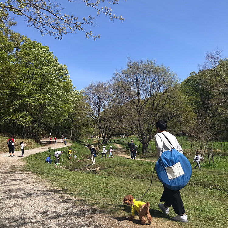 その後は場所を少し奥に移動してポップアップテントでのんびり過ごします☺️