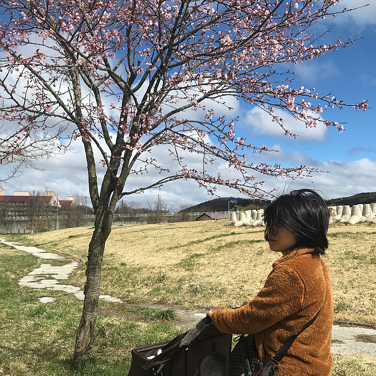 今日は火葬前にいつもの広場にカートで連れて行ってあげました。久しぶりなのに、悲しい報告でごめんなさい😭
死因は貧血で肺に血栓ができ呼吸困難になったことです。酸素を吸いながら病院で息を引き取りました。グレースは最後までがんばりましたよ。