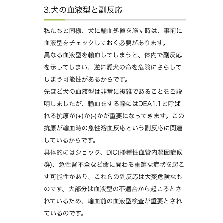 お三方、共に DEA1.1(+)でした❗️
大型犬にしかできない、血液を提供するお仕事。
「今すぐ🏥来てもらえますか❓」と出動要請の無い事が一番ですが。
わが家のお三方も、これで病気やケガで輸血が必要な🐶を助けてあげられます🍀