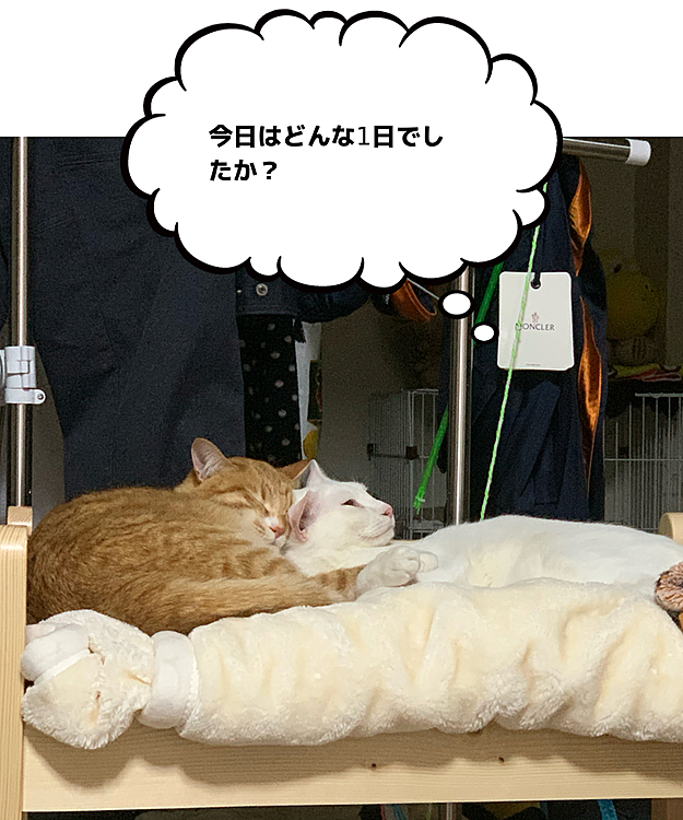 眠る兄、たそがれ弟