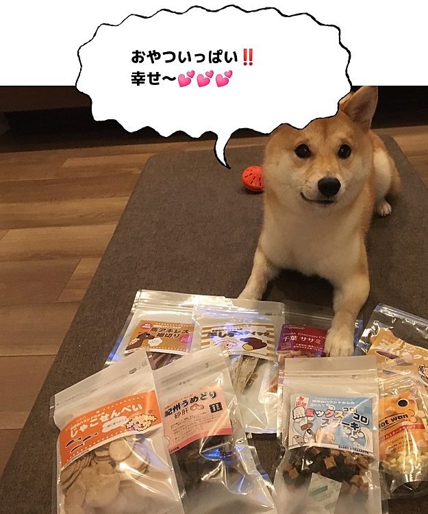 ママがおやついっぱい買ってくれたんだよ〜
でもすぐ届かないところに片付けられちゃった💦   
byせつ
