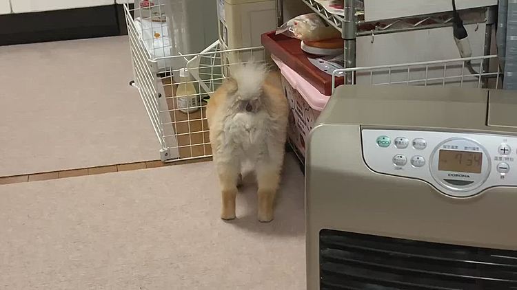 ほぅら、言わんこっちゃない…
入ってっちゃったじゃん😑