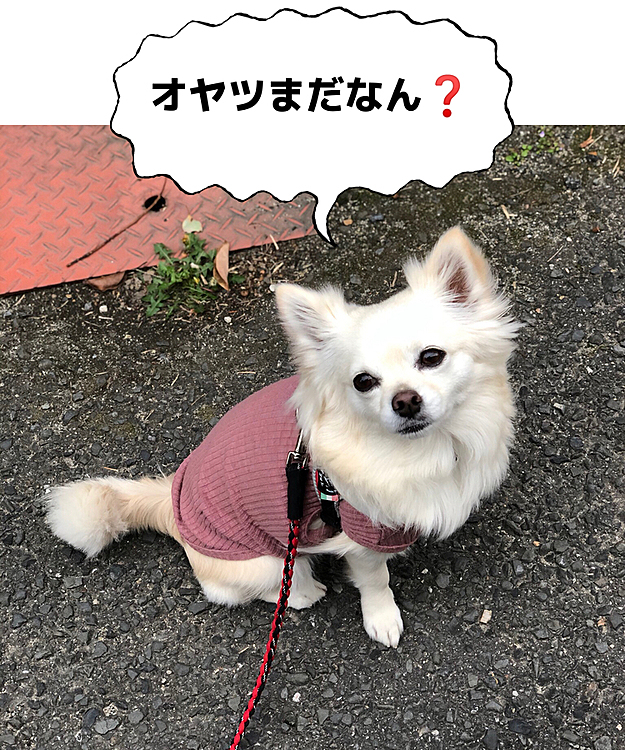 朝からオヤツばっかり食べたらあかんねん😅
ご飯食べてからにしなさい🤣