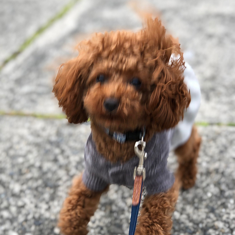 冷たい風が吹いています。