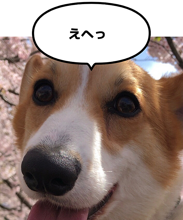 桜見にきたよ🌸
顔デカくて桜見えませんけど？🌸