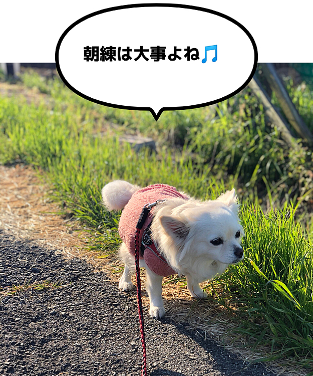 今朝ももちろん、どすこ〜い🎵
朝練は欠かしません😂