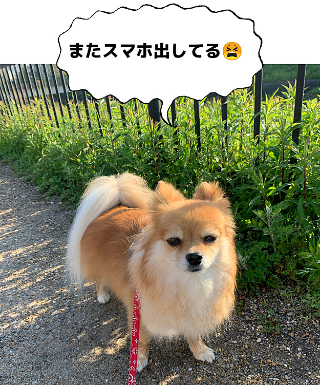 胸の毛がびしょびしょ💦