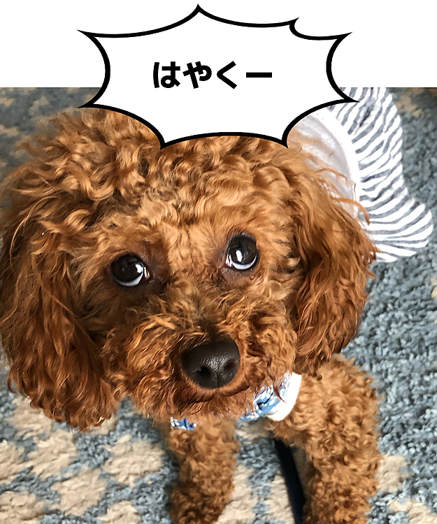 待ちきれない桃です。🐾🐾
ちょっと待ってねー👵