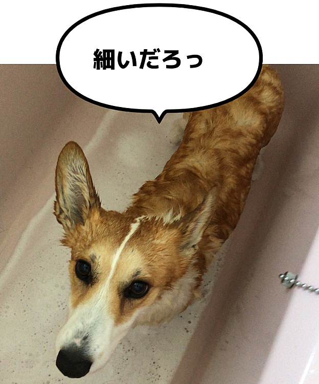 大丈夫❣️一応まだクビレあるよ❤️笑笑
