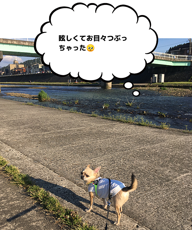 私とpocoのパワースポットです💕