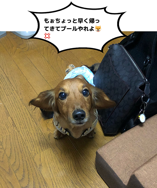 な…何を～💦💦💦(笑)
仕事ビッチリなんだよ～😭💦💦💦(苦笑)