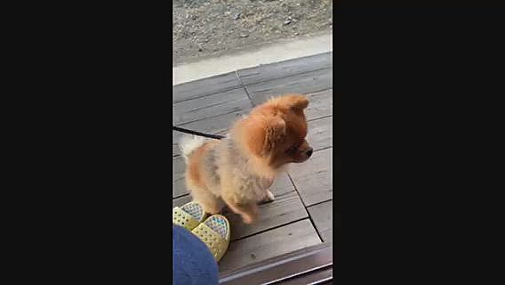 ルルちゃんも、おやつをもらいました❣️