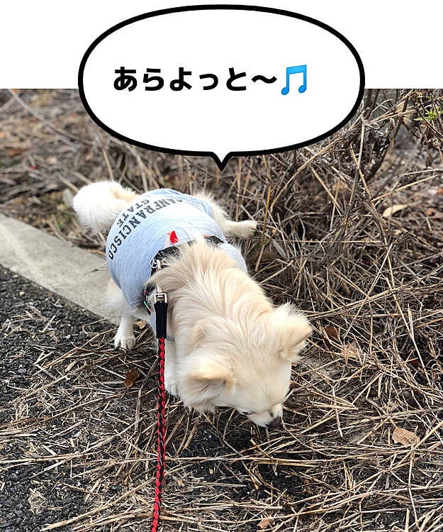 朝練は大事やからね🤣
