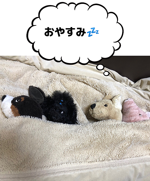 みんなで、自粛中はやっぱり寝て待つ‼️😁