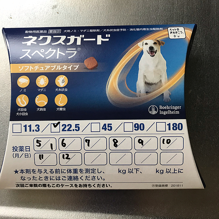 診察室では、先生がアラシくん、触るよ〜と言う声が聞こえて優しく声かけてました😊
やはり、私が席を外すと、腹をくくったみたいです🤣
カラーを巻かれて、注射と採決をしたそうで、大人しかったみたいです。母ちゃんいると強気に出るアラシ😅
来月から忘れないように薬食べさせるためにカレンダーに記入しときましたよ。
