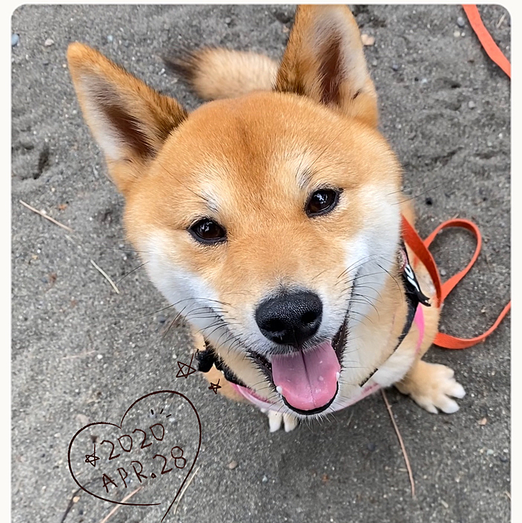 おやつも食べてごきげんな櫂さんでした☺️