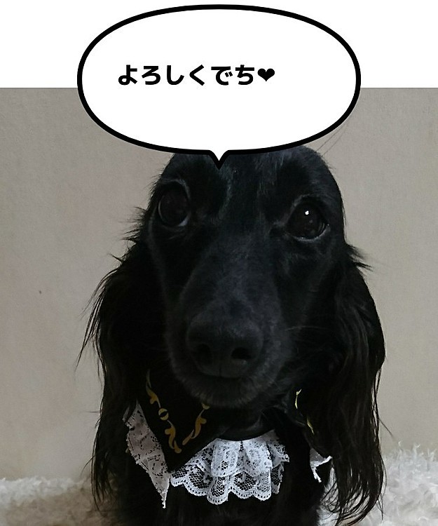 Twitterから、お誘いがきたので
登録してみました^^*