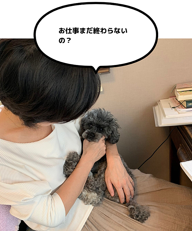 在宅勤務の延長が決まりパールちゃんとべったりの日常はまだまだ続きます。お留守番がなくなったから逆にお留守番できるか心配になってきました。
仕事中、お膝に乗せてぇとおねだりした後の様子です。甘えてお膝にのってそのまま寝てしまいます。明日から一足早くGWステイホームです。皆さまご安全にお過ごしくださいませ。