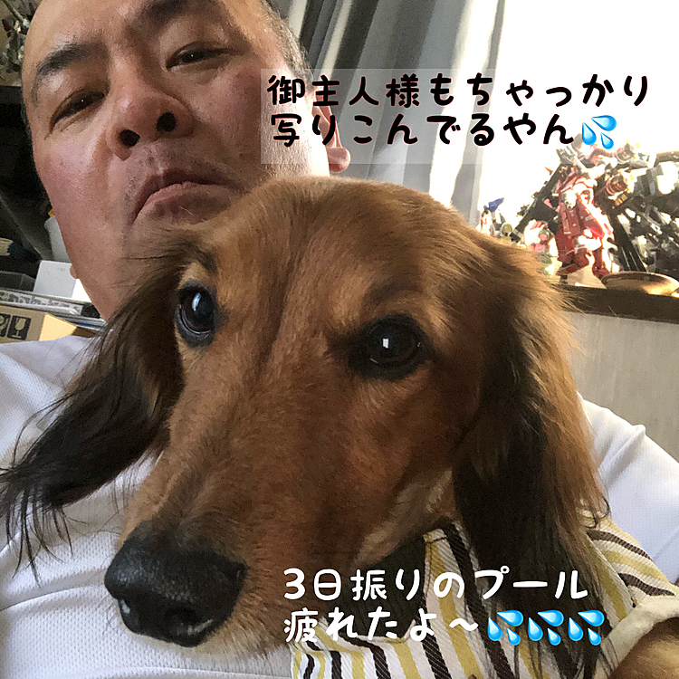時間が取れなかったからね～(-ω-;)ｳｰﾝ💦
でも今日はその分ミッチリやったね～٩( ˶˙ᴗˆ˶ )وｴｲｴｲｵｰ!💪💪💪