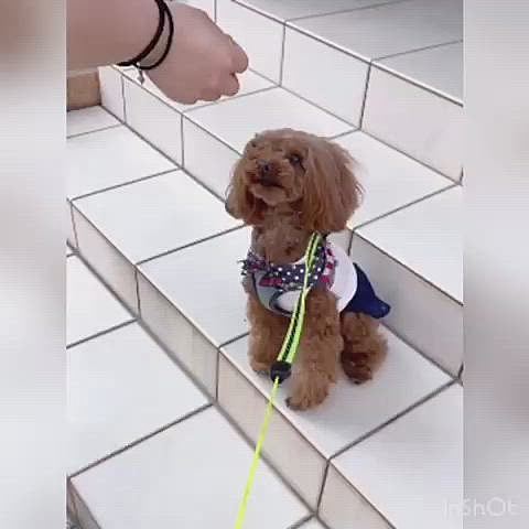 遊んだ後は、オヤツ貰いました❣️
面白かったので😅😅😅