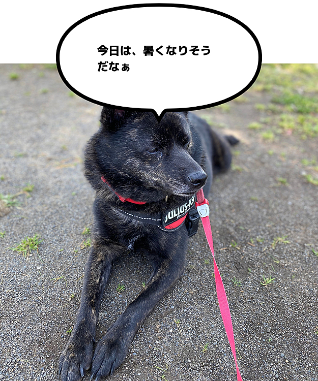 そして。休憩ばかり😭