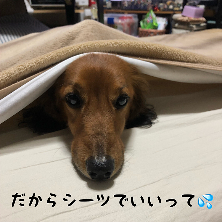 何処から顔出しとんねん😅⁉️(笑)