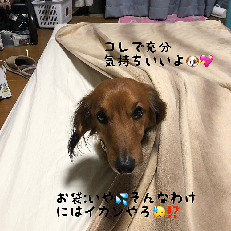 お袋寒がりなんだから…早く出て~~~💦(笑)