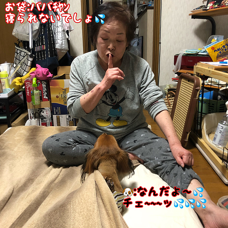 この後出されちゃいました🤣🤣🤣
明日もリハビリガンバルンバ〜‼️だゾ💪
ココ太郎🐶🐶🐶