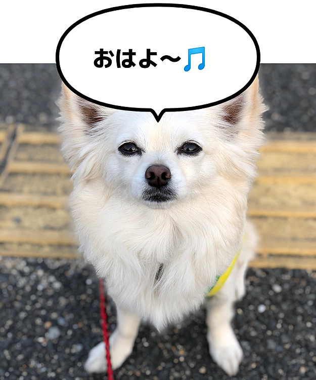 おはようございます☀
今朝もいいお天気だぁ〜✨