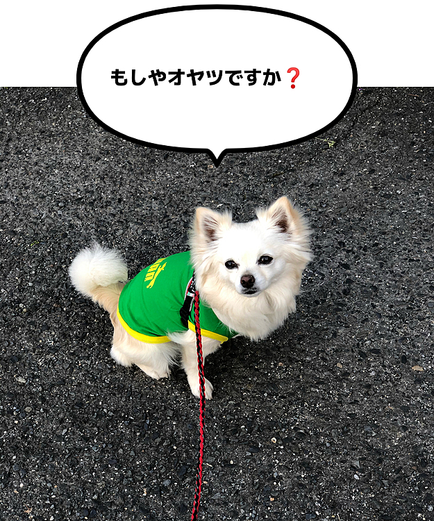 フライングで座ってしまいました🤣