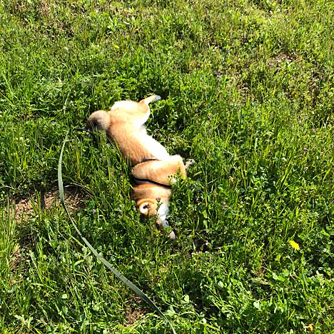 あーー冷たくて気持ち〜〜なー〜😜🌼