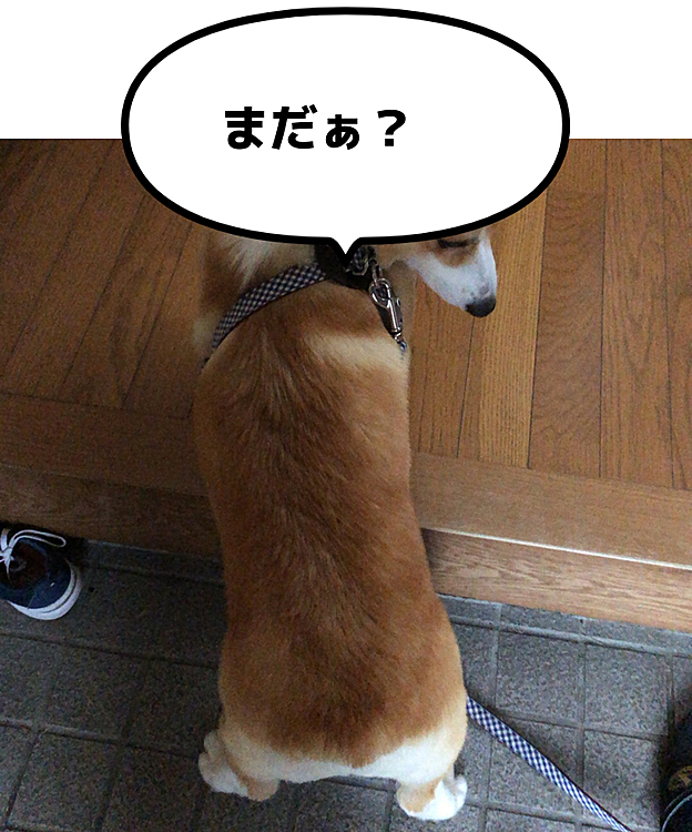 はいはい😃お待たせ😃
拭きますよ😃
またガニ股なってるよ？🤣🤣🤣