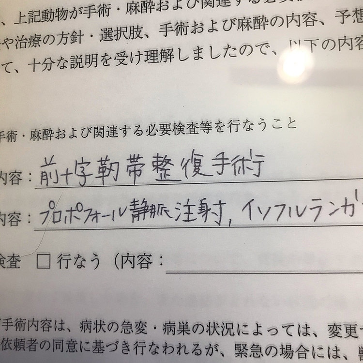 明日入院して、明後日(日曜日)手術になります💦
1週間程入院になると思います💦
そして、最近コメント、お返事がなかなかできずすいません🙏