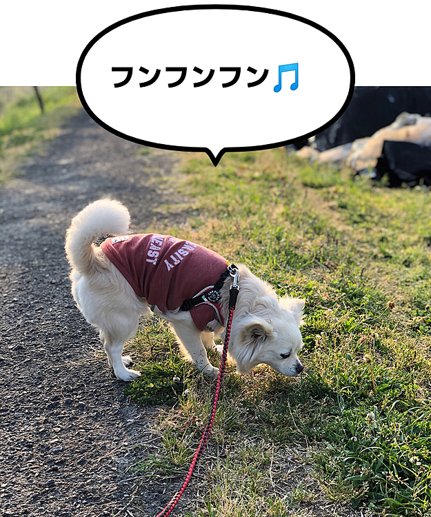 何かを探してるの❓